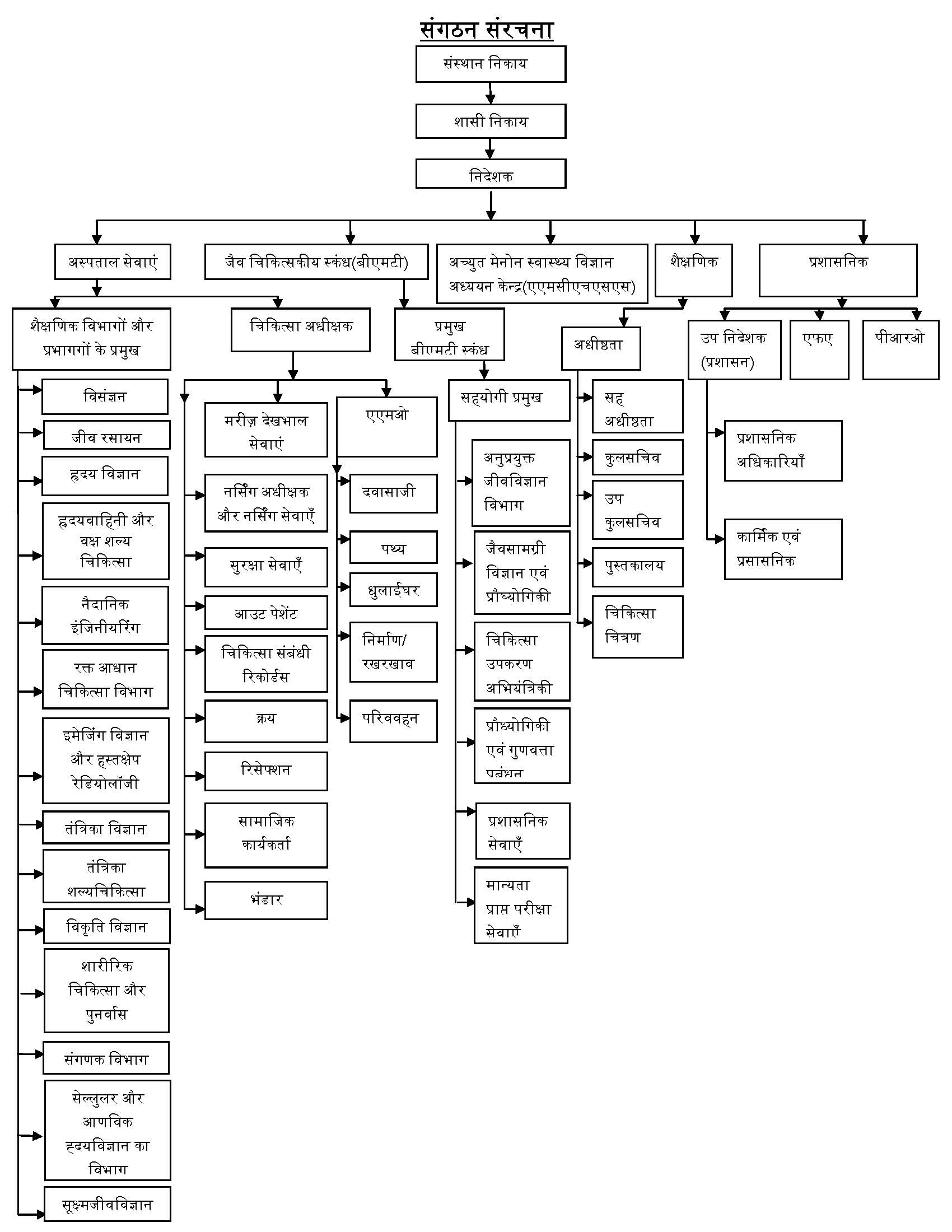 Organisational Structure